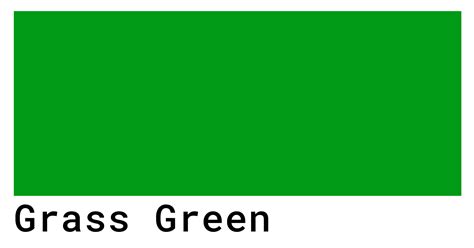 Grass Green Color Codes The Hex Rgb And Cmyk Values That You Need