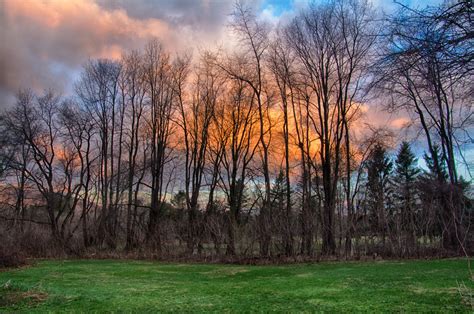 Wallpaper Sunlight Trees Forest Sunset Nature Grass Sky Field