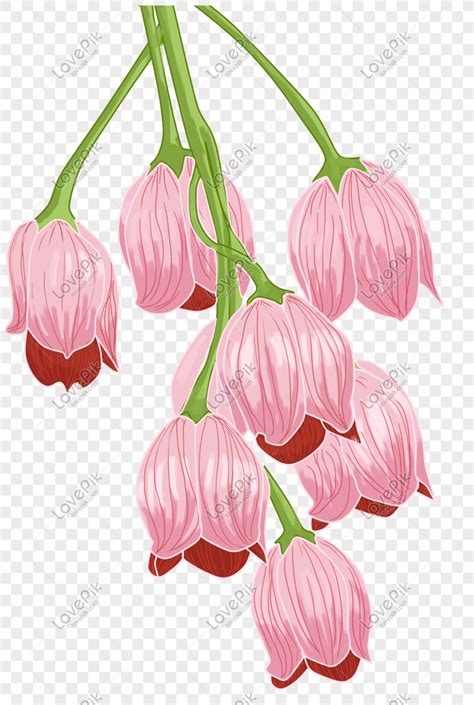 terbaru gambar ilustrasi kelopak bunga gambar ilustrasi