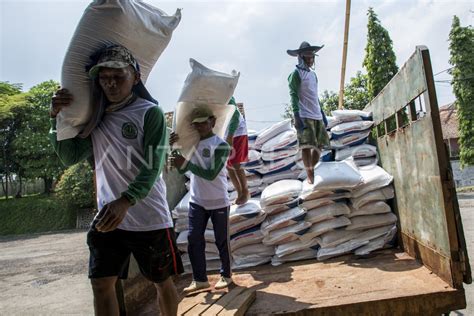 Stok Pupuk Bersubsidi Di Jawa Barat Antara Foto