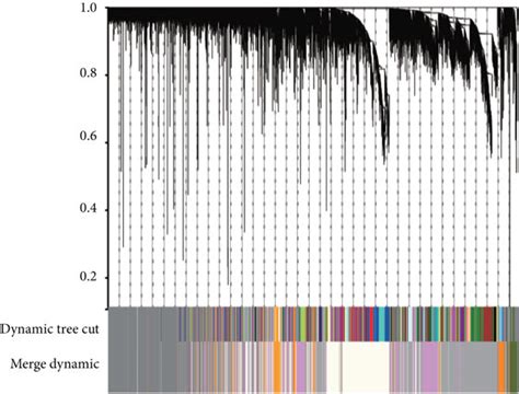 WGCNA Analysis A Genetic Tree Diagram B Module Feature Vector