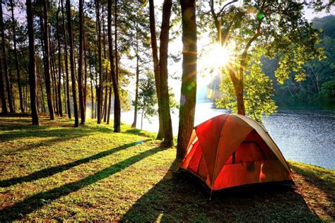 Plan A Camping Trip At Belton Lake - Toyota of Killeen