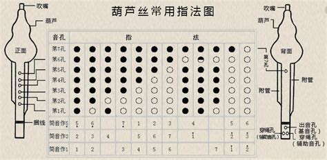 葫芦丝教学入门指法图片分享，葫芦丝指法教程图片！ 知乎