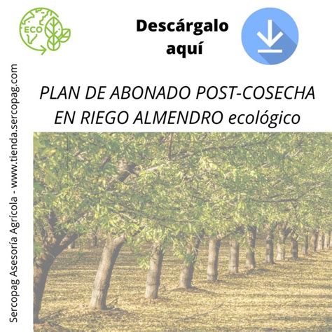 Plan De Riego Postcosecha Almendro Eco Post Para Instagram Cuadrado