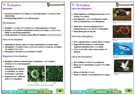 Grade 7 Natural Science Ns Term 1 Oxford Classroom101