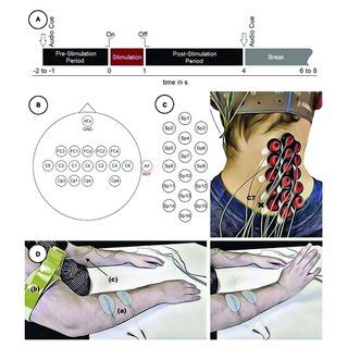 Experimental Setup A Timing Of A Single Trial B Electrode