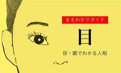 目眼でわかる人相！目の形や特徴ごとの性格【観相学】 Zired 性格 目の形 手相