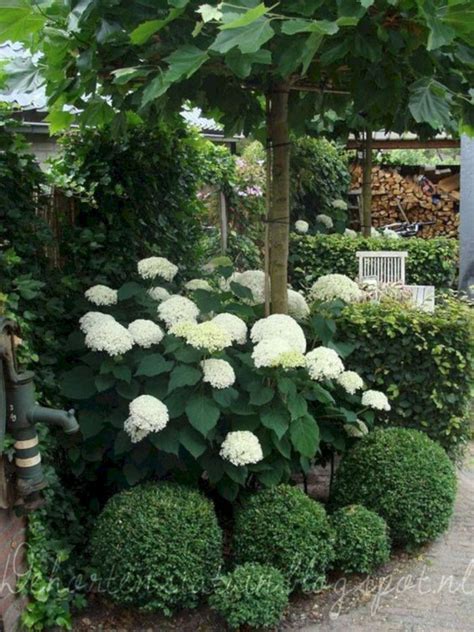 50 Most Beautiful Hydrangeas Landscaping Ideas To Inspire You 015