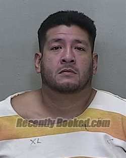 Recent Booking Mugshot For Bryan Phillip Gonzalez In Marion County