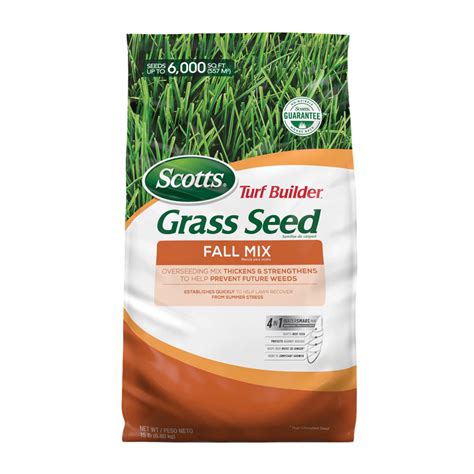 Top 5 Best Grass Seeds for Sandy Soil in [year] - Straight.com