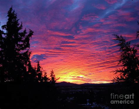 Christmas Eve Sunrise Photograph by Joan Ouchida - Fine Art America