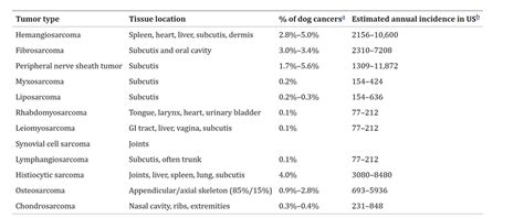 Can Canine Soft Tissue Sarcoma Be Cured?