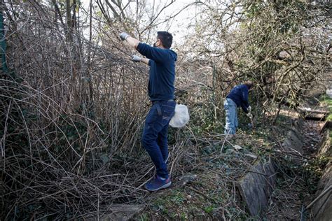 Al posto dei rifiuti è rinato il bosco