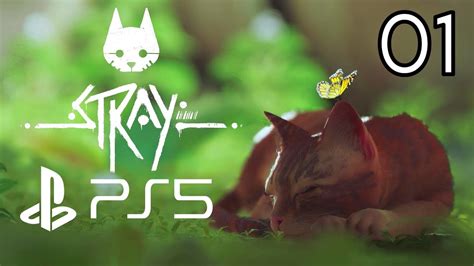 PS5 Stray Cute Strays Cats Exploring The End Of The World Robots Humans