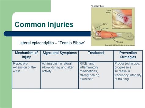 Upper Extremity Injuries Objective 2 Recognize Common Injuries