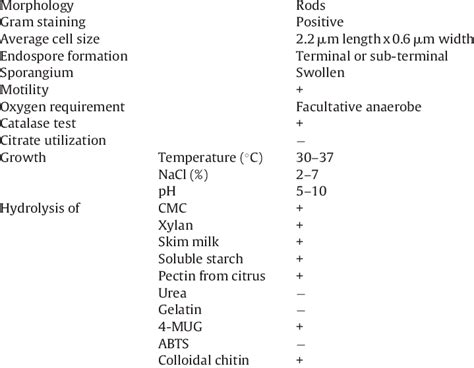 Physiological And Biochemical Characterization Of Paenibacillus Sp A