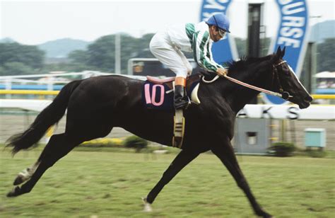 メジロラモーヌ｜名馬メモリアル｜競馬情報ならjra Van