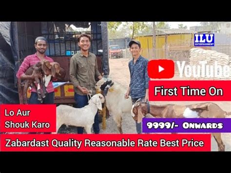 Zabardast Quality Reasonable Rate Best Price Milega Lo Aur Shouk Karo