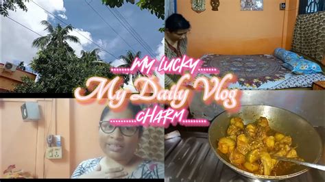 🤗কাজ করলে মন ভালো থাকে🤗🏡😄 Mydailyvlogmyluckycharm 11 Sep 2022