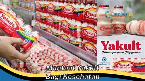 Banyak Yang Belum Tahu Inilah Manfaat Yakult Bagi Kesehatan Yang