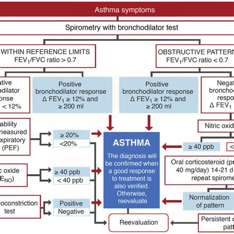 Diagnostic algorithm for asthma in adults. | Download Scientific Diagram