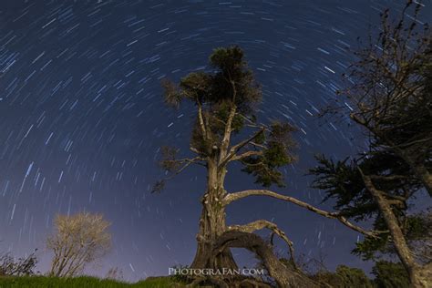 星の軌跡を撮影する方法を解説！比較明合成なら失敗が少なく簡単 フォトグラファン