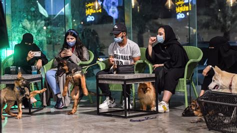 In Changing Saudi Arabia First Dog Cafe Delights Pet Lovers