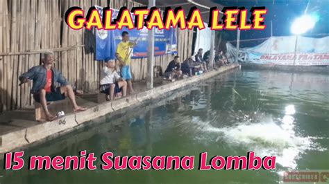 Galatama Lele ⁉️ Suasana Mancing Galatama Lele Youtube