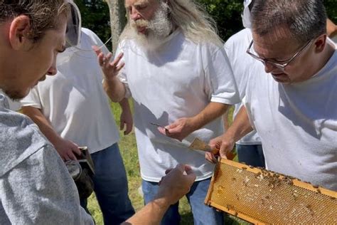 Beekeeping program at Faribault prison teaches inmates job skills ...