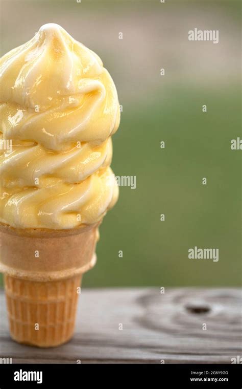 Vanilla Soft Serve Ice Cream Cone Melting In The Summer Heat Stock