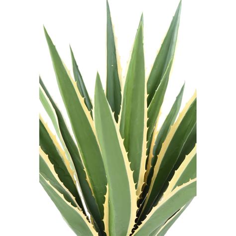 Plante Grasse Agave Furcraea Artificielle Cm Agaves Artificiels