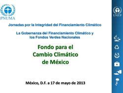 Fondo para el Cambio Climático de México México D F a 17 de mayo de