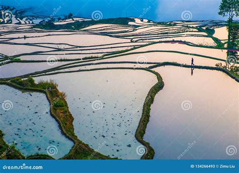 Yuanyang Rice Terraces in China Stock Image - Image of glacier, trail: 134266493