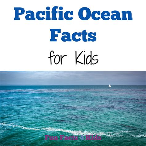 fun  interesting pacific ocean facts  kids fun facts  kids