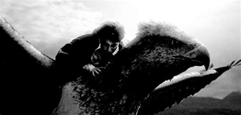 Buckbeak On Tumblr