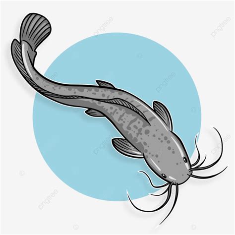 Vektor Ikan Lele Ikan Lele Vektor Ikan Ikan Png Dan Vektor Dengan