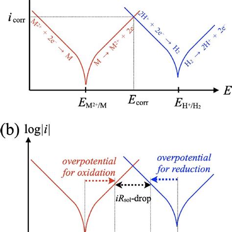 A Corrosion Potential E Corr And Corrosion Current Density I Corr