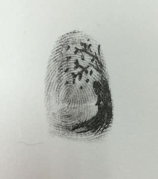 Fingerprint Sketch At Paintingvalley Explore Collection Of