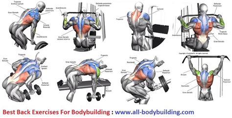 Upper Back Workouts For Men