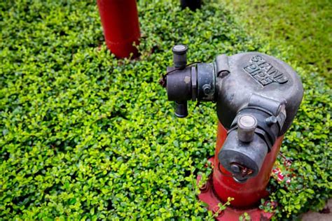 Nfpa 14 2019 Standpipe And Hose Systems Standard Ansi Blog