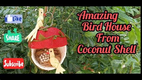 Amazing Bird House From Coconut Shell YouTube