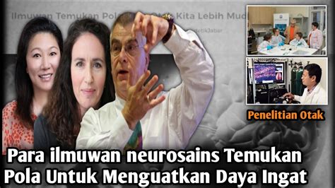 Ilmuan Ini Temukan Pola Untuk Memperkuat Daya Ingat Youtube