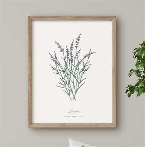 Lavender Botanical Print | hackneyandco