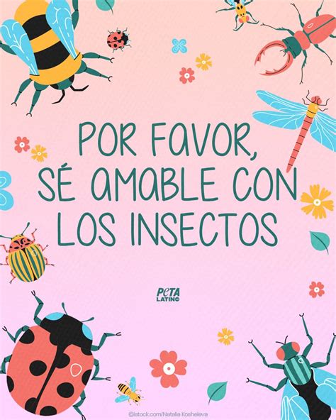 PETA Latino On Twitter Los Insectos Juegan Un Papel Importante En