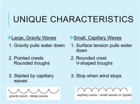 Ocean Flashcards Quizlet