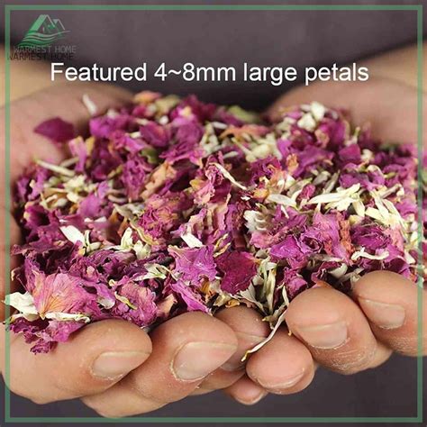 Warm 10 Packs Natural Wedding Confetti Dried Flower Petals Pop Bridal