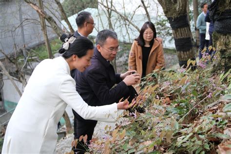 陕西省科技厅到安康市镇坪县农科所调研科技创新工作 新西部网 《新西部》杂志官网 陕西省社会科学院主办