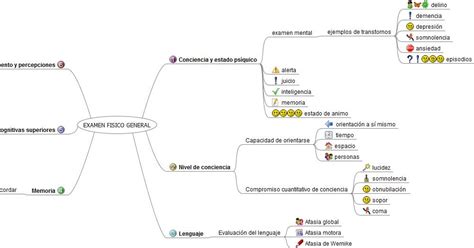 Pensamiento Y Lenguaje Mapa Mental De Examen FÍsico General