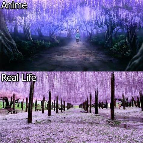 21 4 mil curtidas 223 comentários Anime in Japan animes vs reality