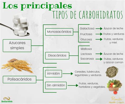 Los Principales Tipos De Carbohidratos Bienestar Infinito